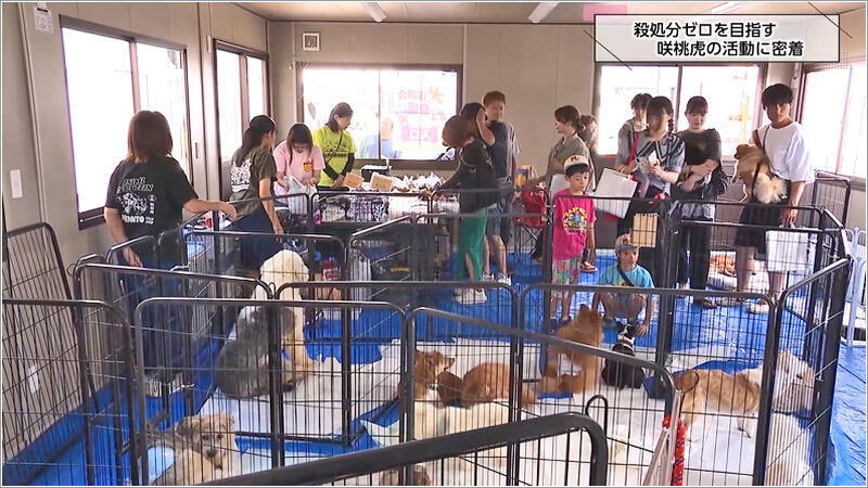 06 譲渡会