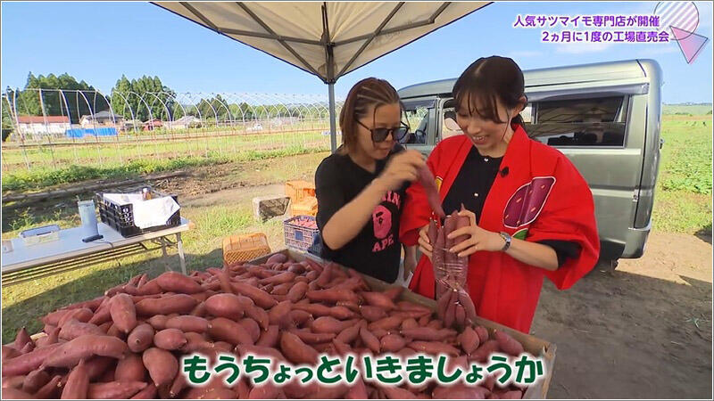11 紅はるか詰め放題
