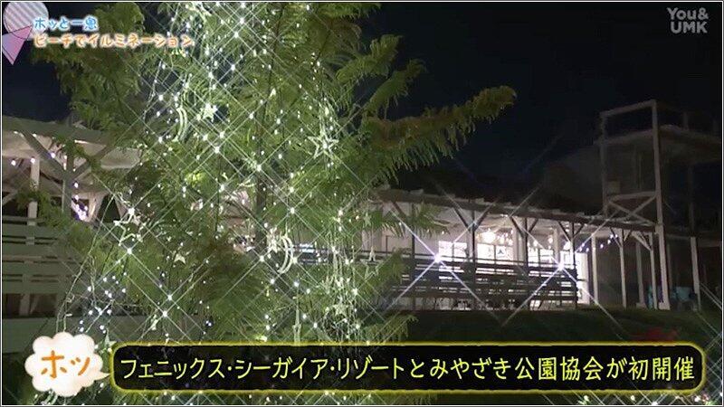 09 イルミネーション
