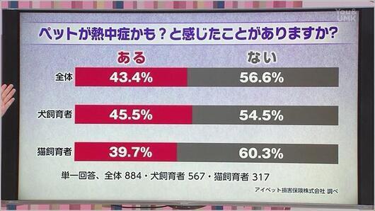 02 ペットが熱中症かなと感じたことがありますか？というアンケート