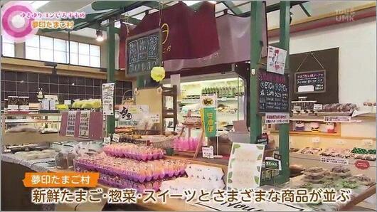 10 夢印たまご村 店内