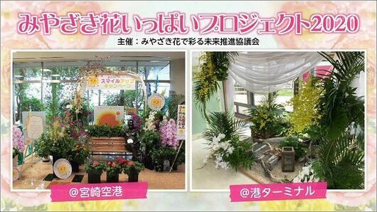 02 花いっぱいプロジェクト2020 2
