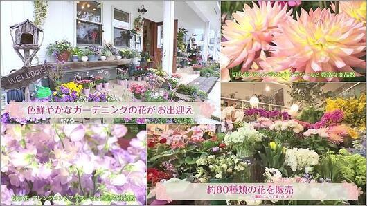 04 FlowerDesign Colorful・Colorful!店内