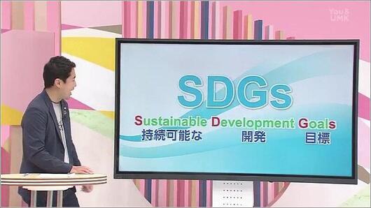 01 SDGsとは