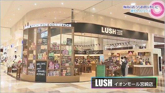 08 LUSH