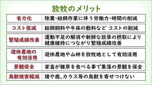 08 放牧のメリット