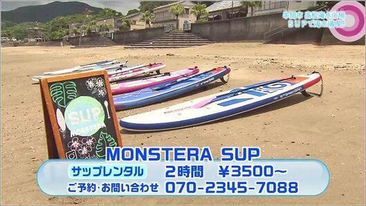 12 MONSTERA SUP