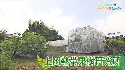 02 上田熱帯果樹研究所