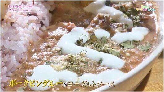 05 2種盛りカレー ポークビンダルー