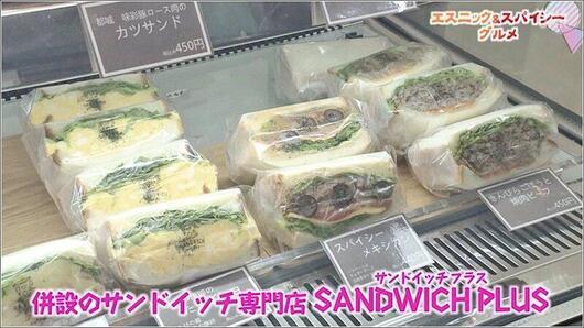 05 SANDWICHPLUS