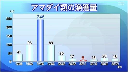 10 漁獲量の減少