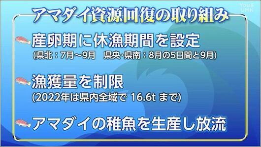 11 アマダイ資源回復の取り組み