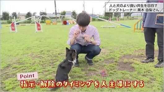 06 指示解除のポイント