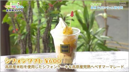 13 シフォンソフト