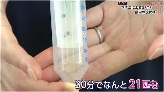 05 30分で21匹