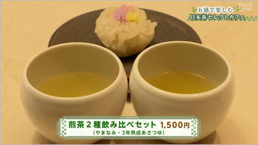 02 煎茶2種飲み比べセット