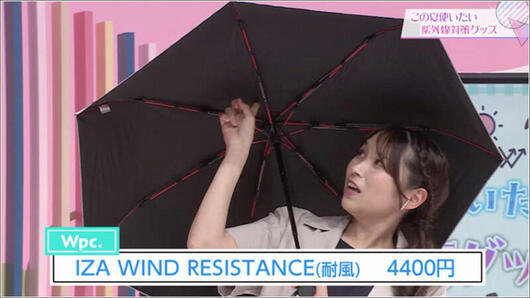 06 Wpc. IZA WIND RESISTANCE（耐風）