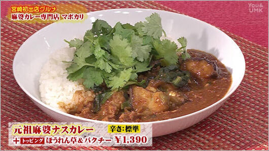 09 ナスカレー