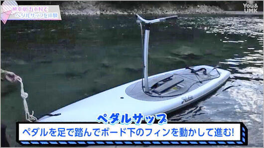 04 ペダルサップ 1