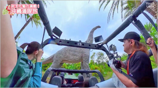 06 ダイナソーサファリ 2