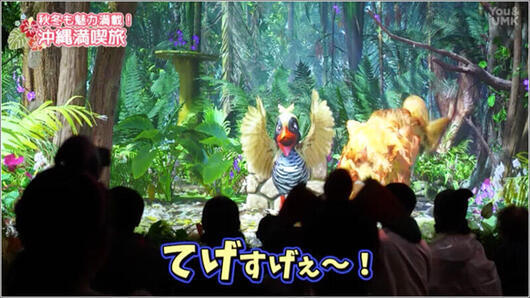 07 ヤンバルフレンズ 1