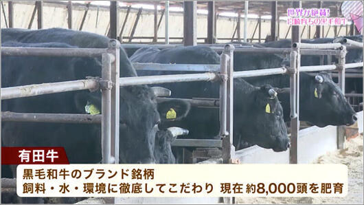 03 有田牧畜産業