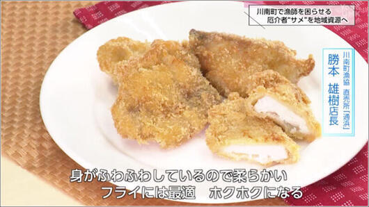 05 サメのフライ