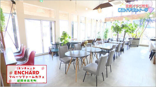 06 エンチャードフルーツファームカフェ 店内
