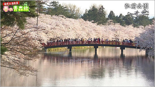 09 昼の公園