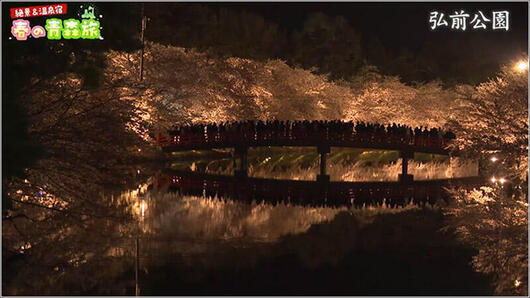 10 夜の公園