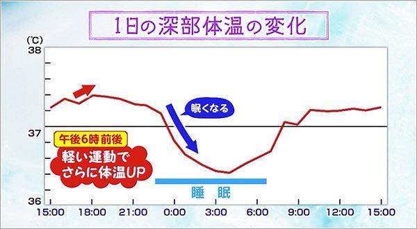 1日の深部体温の変化