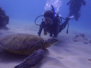 卒業旅行のハワイの海です！念願かなってウミガメに会えました♪