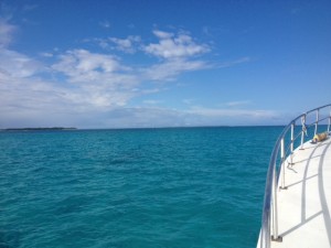 約半年振りの八重山の海。天気が良くて最高でした