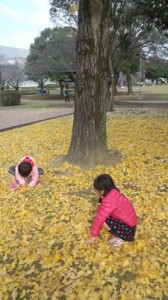 仲良しみーちゃんと枯葉集め　文化公園にて