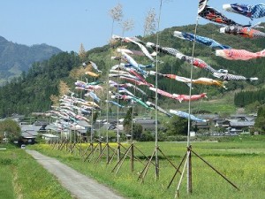 山里になびく　鯉のぼり