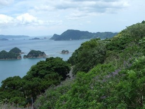 緑の山肌に青紫の群生地