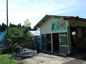 小林市種子田にある岩下果樹園