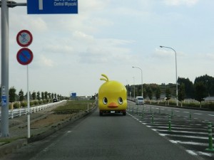 遠くに「黄色いくるま」発見！