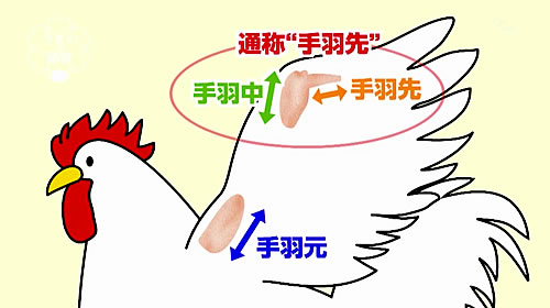 画像：手羽先の部位の説明