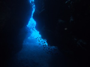 海中洞窟の神秘的な雰囲気もたっぷり味わうことができました