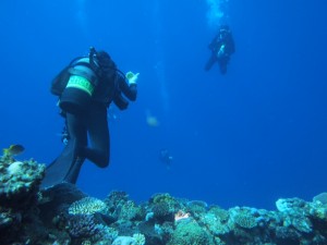 海中には吸い込まれそうな深い青の世界が広がっていました