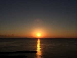 新しい年が、穏やかな一年でありますように・・・