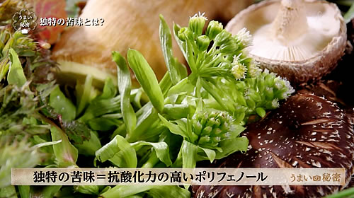 画像：山菜の特徴