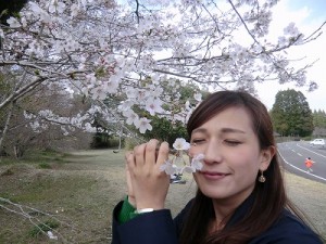満開の桜に武田アナもうっとり・・・。