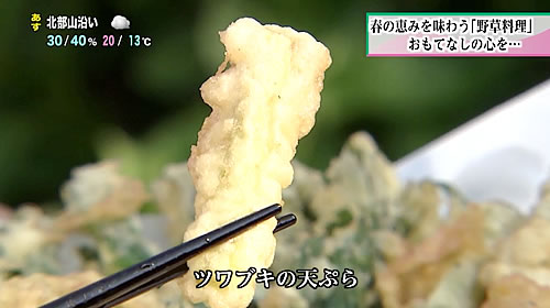 画像：ツワブキの天ぷら