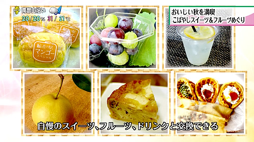 画像：その他に引き換え出来る商品の一例