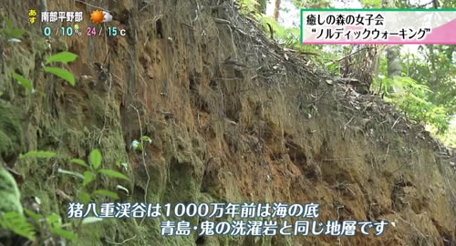 写真：7300年前の地層