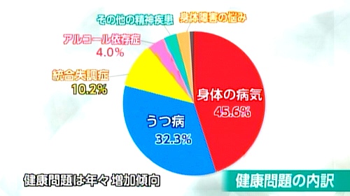 グラフ：健康問題の内訳