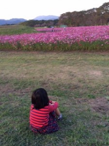 お花の中で一番好きだというコスモスを１人堪能する少女