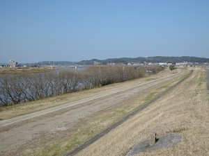 ヒバリがさえずる大淀川の堤防。今年は春の訪れが早い！